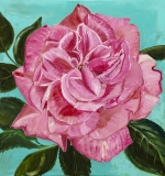 Rose, 75x80